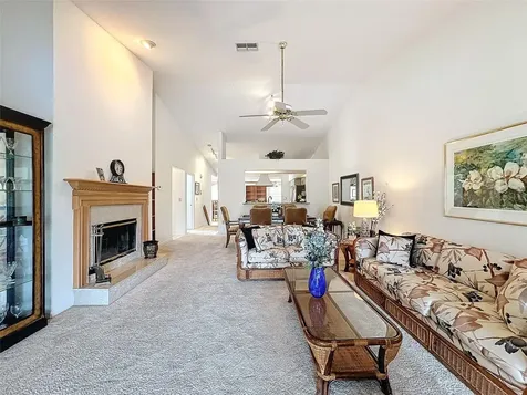 1203 Clays Trail Oldsmar FL 34677