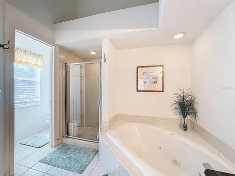 1203 Clays Trail Oldsmar FL 34677