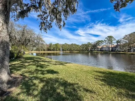 1203 Clays Trail Oldsmar FL 34677