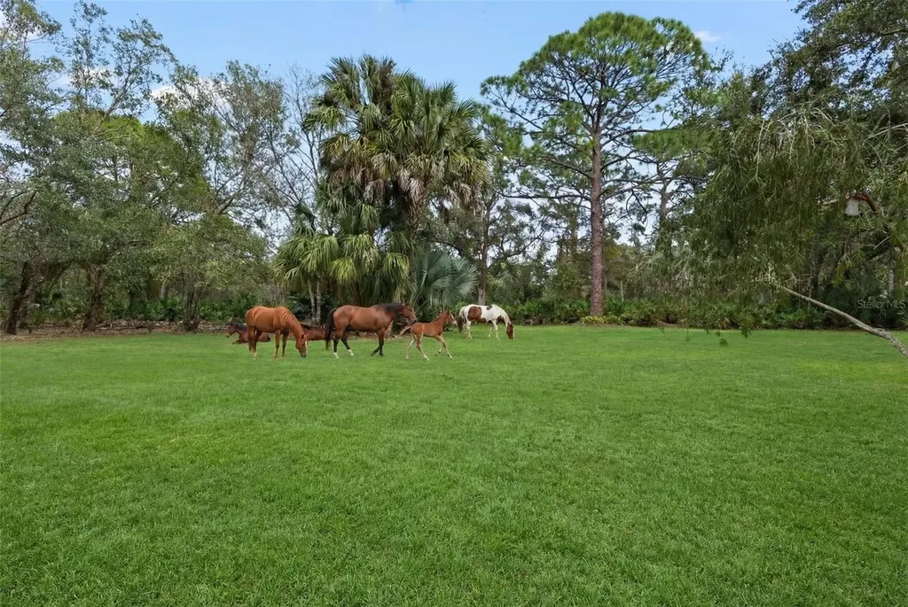 1343 Ranchero Drive Sarasota FL 34240