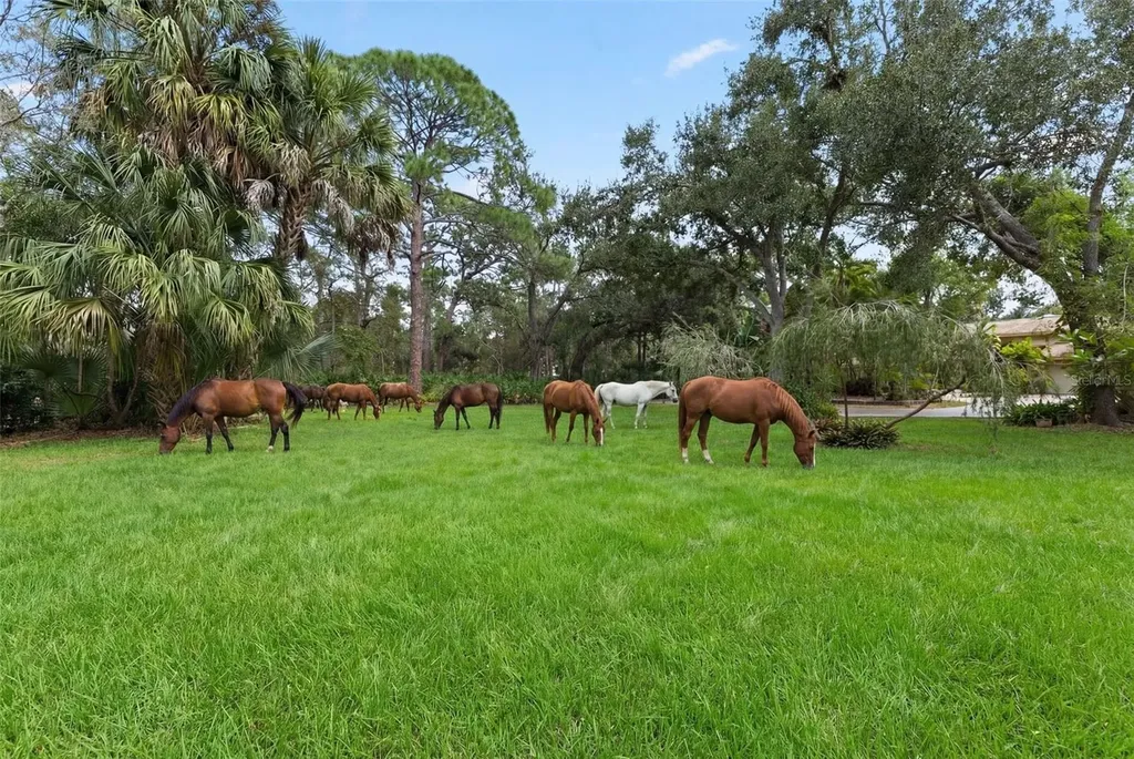 1343 Ranchero Drive Sarasota FL 34240