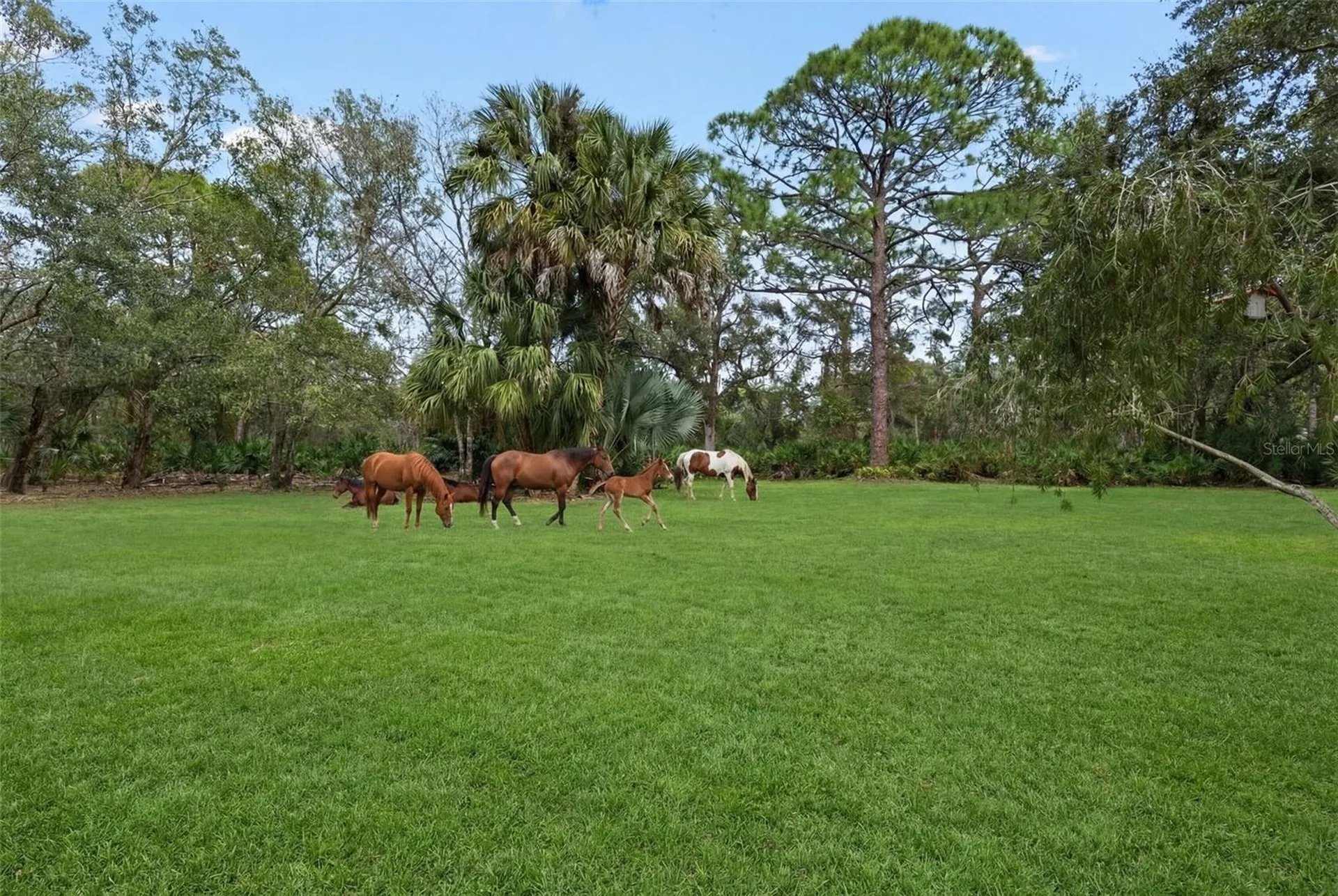 1343 Ranchero Drive Sarasota FL 34240