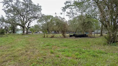 State Road 70 E Myakka City FL 34251