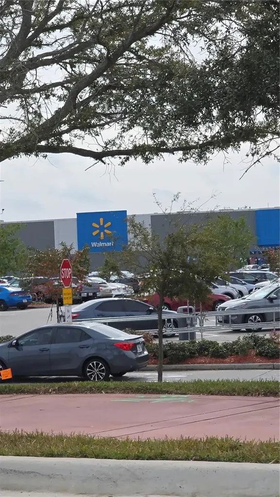 1013 Park Ridge Circle Kissimmee FL 34746