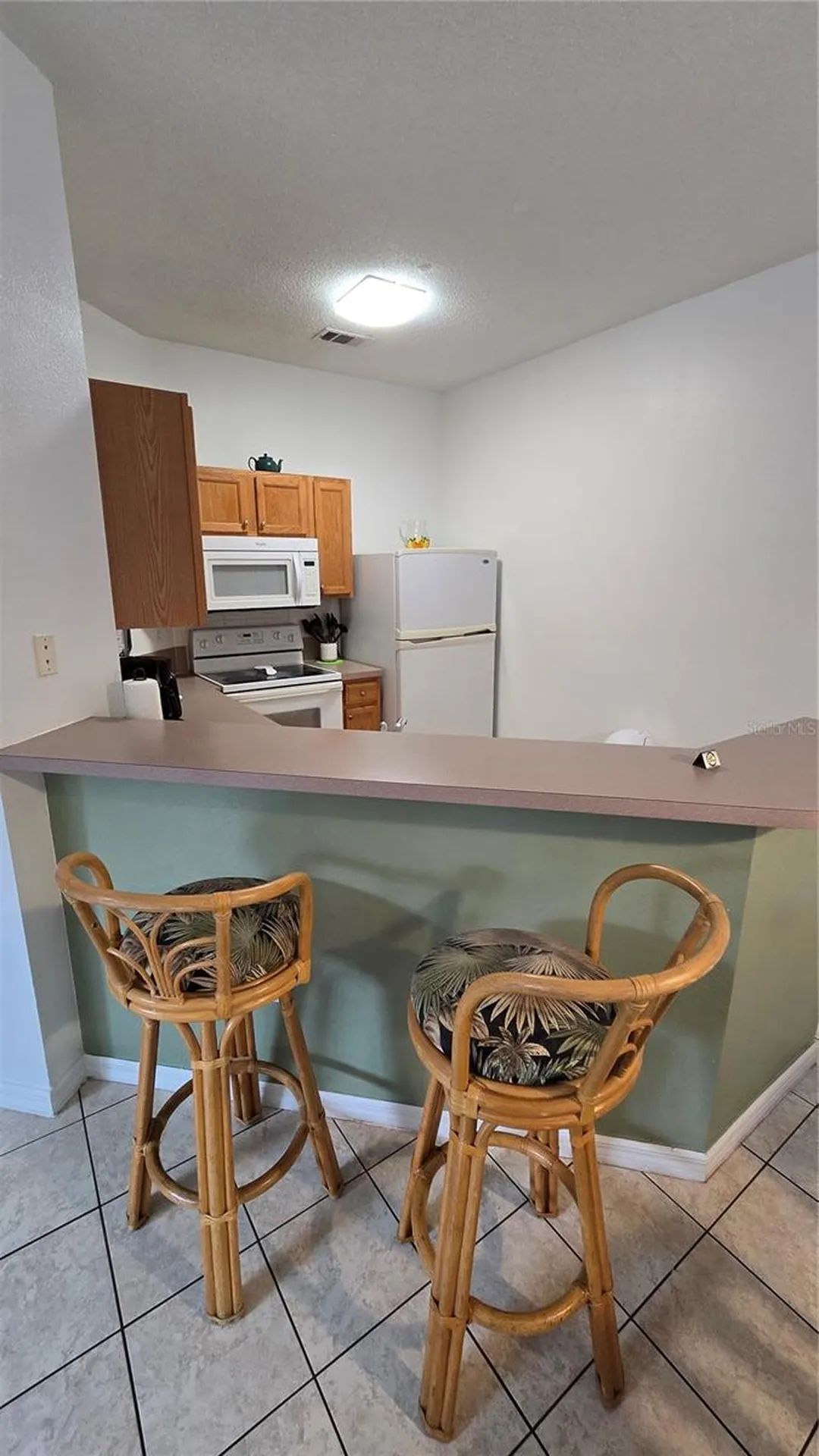 1013 Park Ridge Circle Kissimmee FL 34746