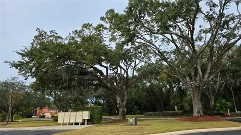 1013 Park Ridge Circle Kissimmee FL 34746