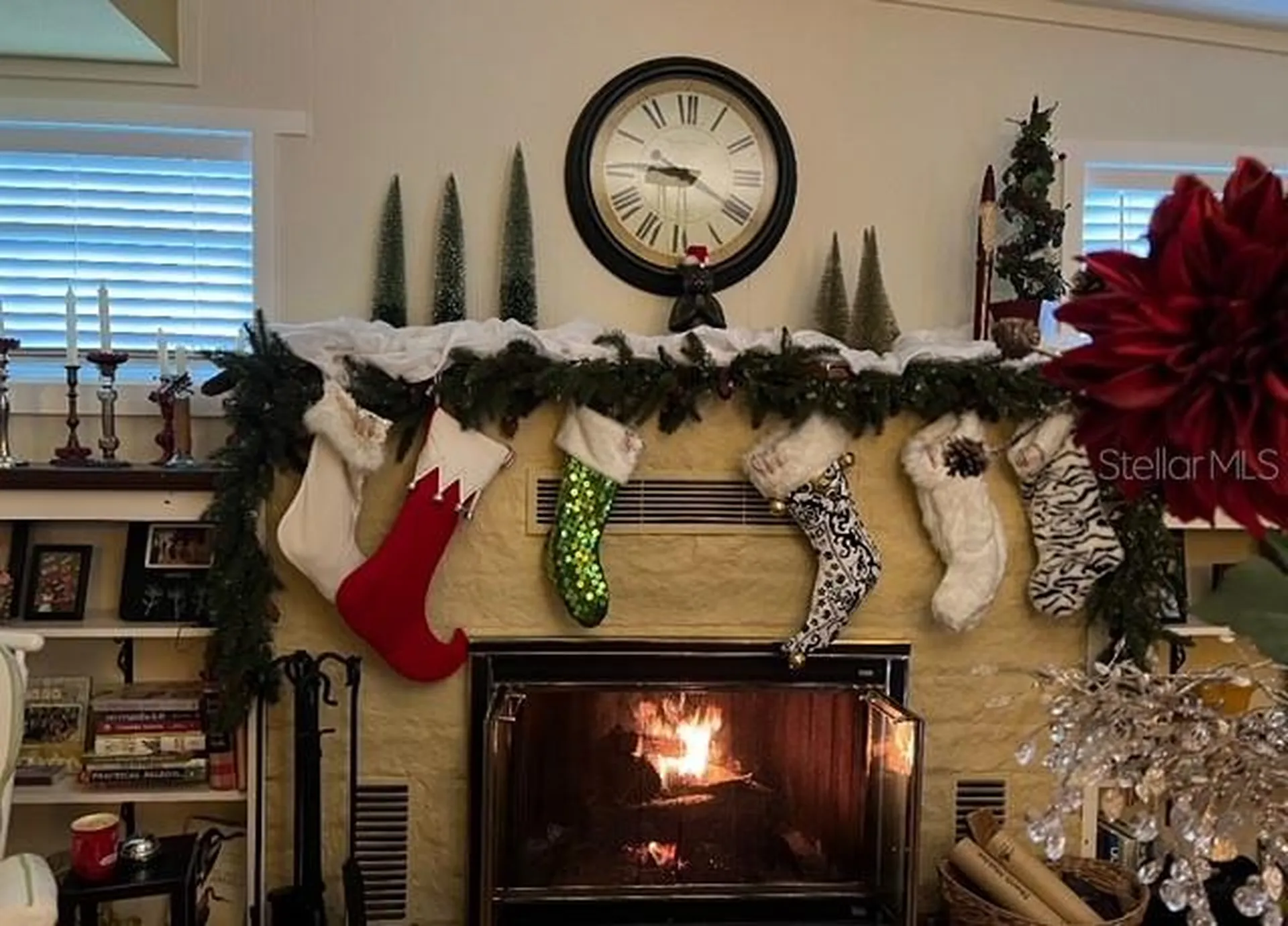 1624 Sea Breeze Drive Tarpon Springs FL 34689