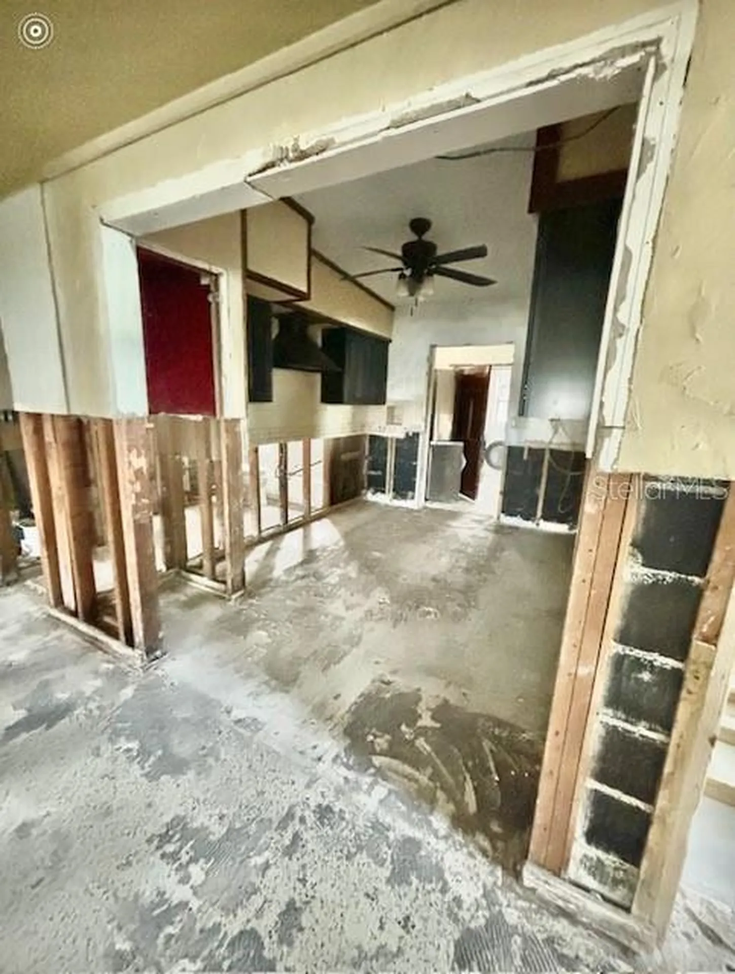 1624 Sea Breeze Drive Tarpon Springs FL 34689
