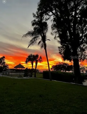 1624 Sea Breeze Drive Tarpon Springs FL 34689