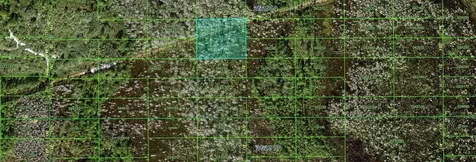 N/a Polk City FL 33868