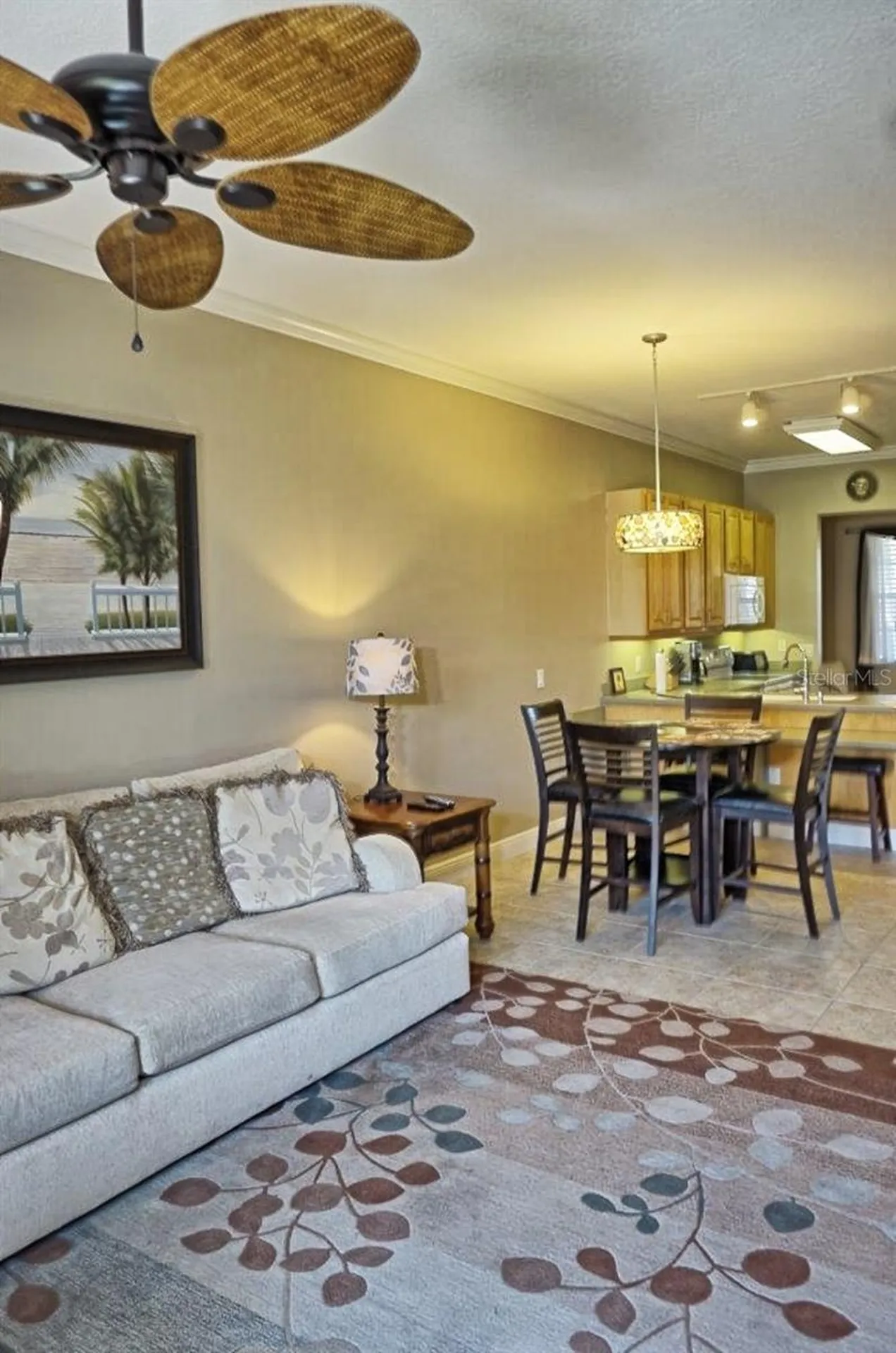 6801 Dali Avenue Land O Lakes FL 34637