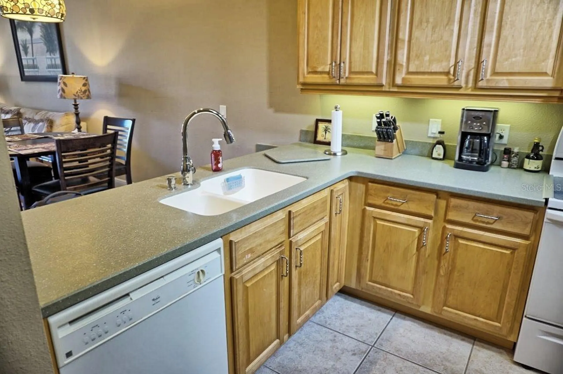 6801 Dali Avenue Land O Lakes FL 34637