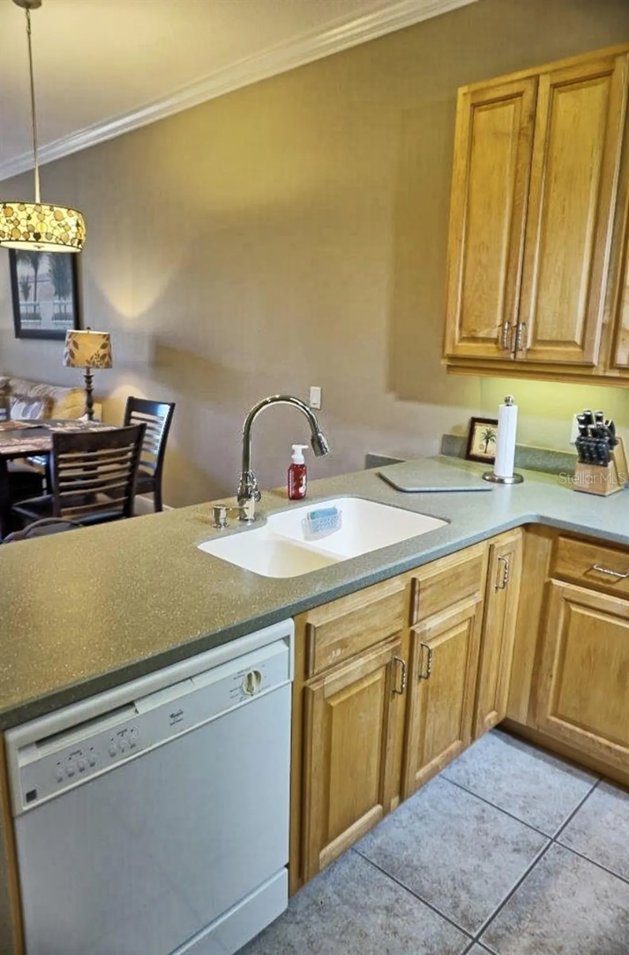 6801 Dali Avenue Land O Lakes FL 34637