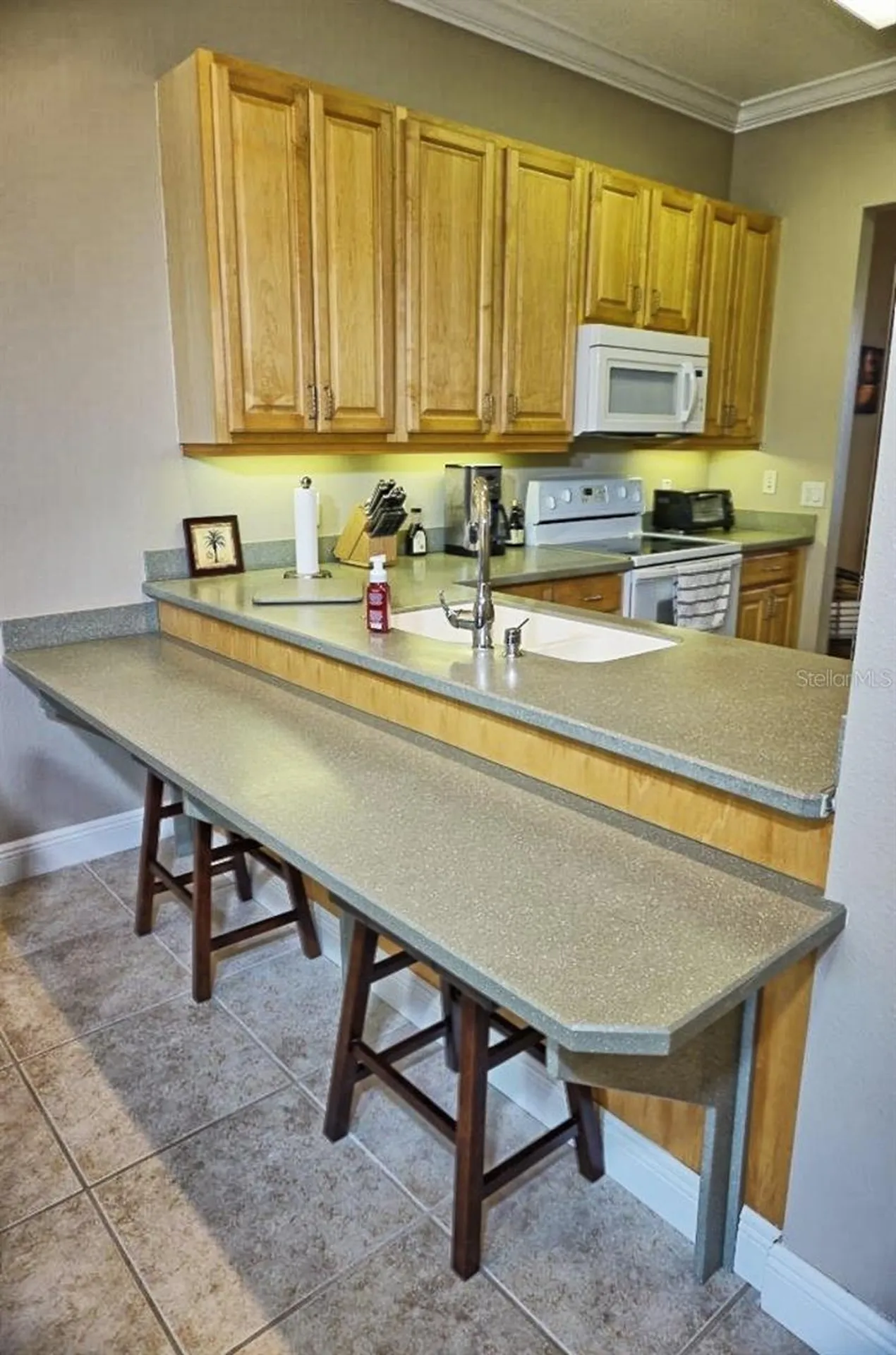 6801 Dali Avenue Land O Lakes FL 34637