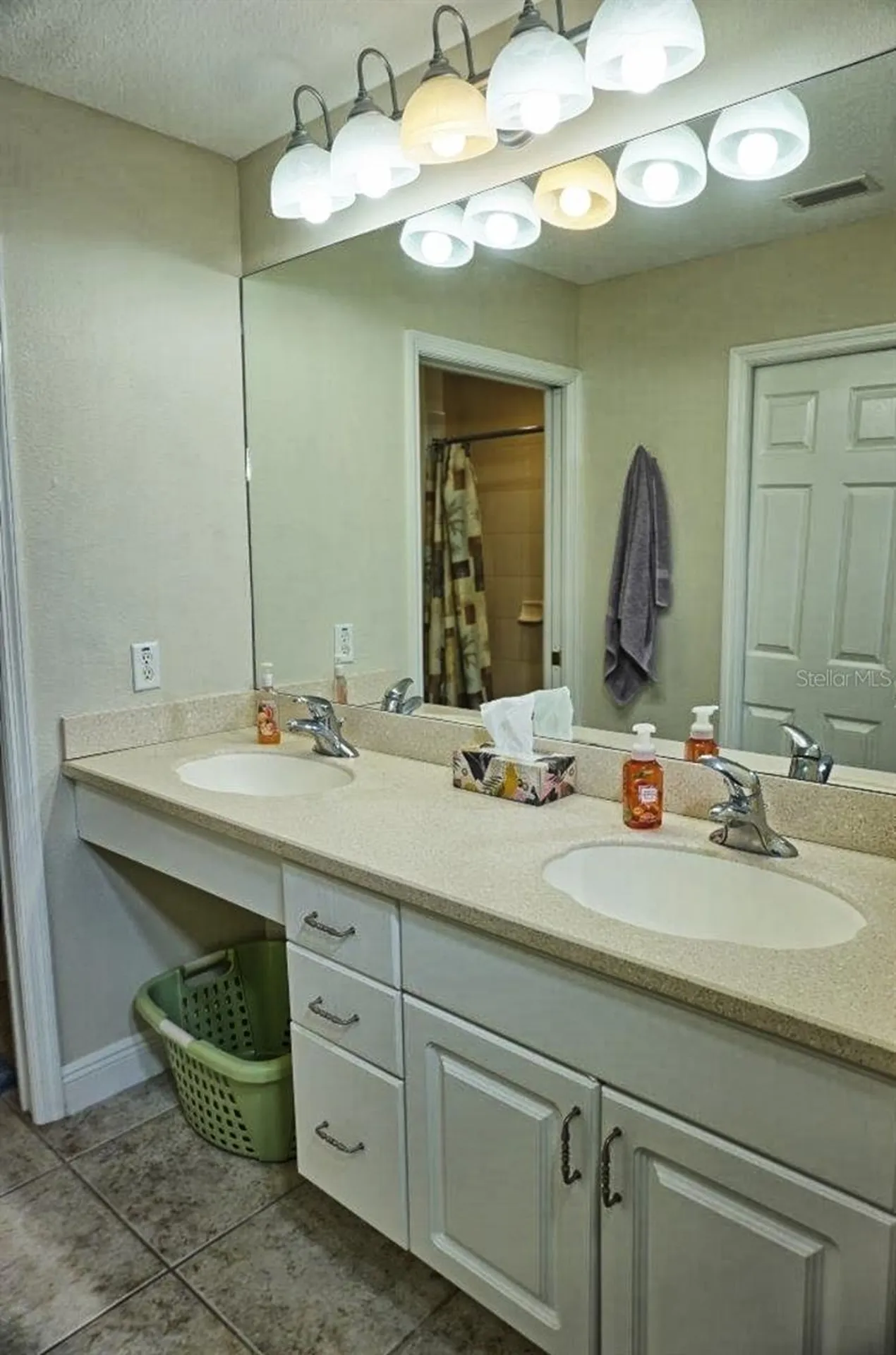 6801 Dali Avenue Land O Lakes FL 34637