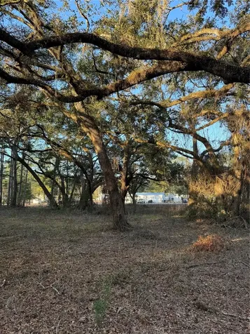 SW Lynnwood Avenue Lake City FL 32025