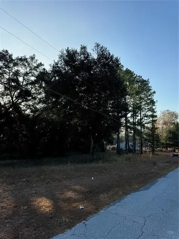 SW Lynnwood Avenue Lake City FL 32025