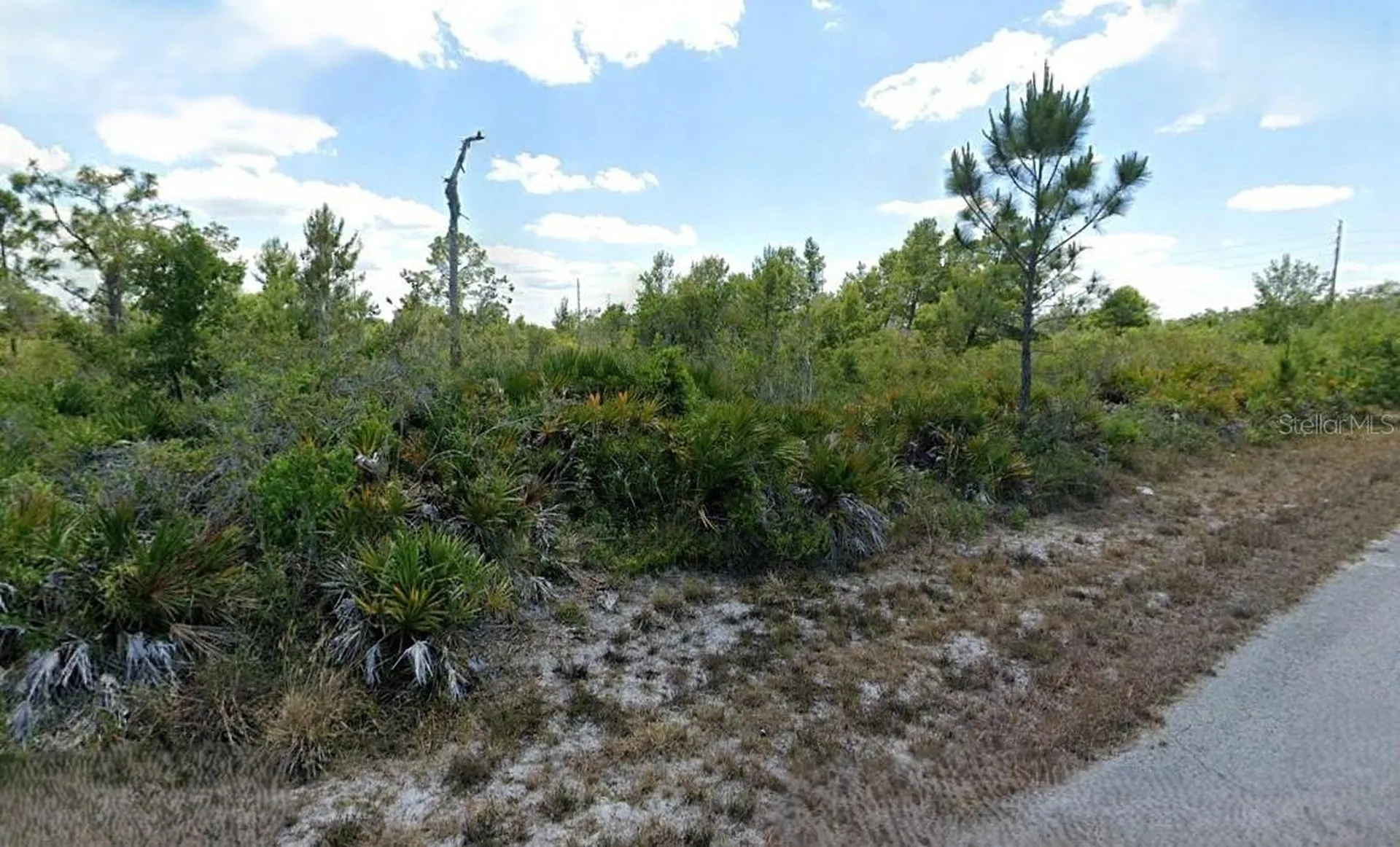 3546 Rhododendron Road Lake Placid FL 33852