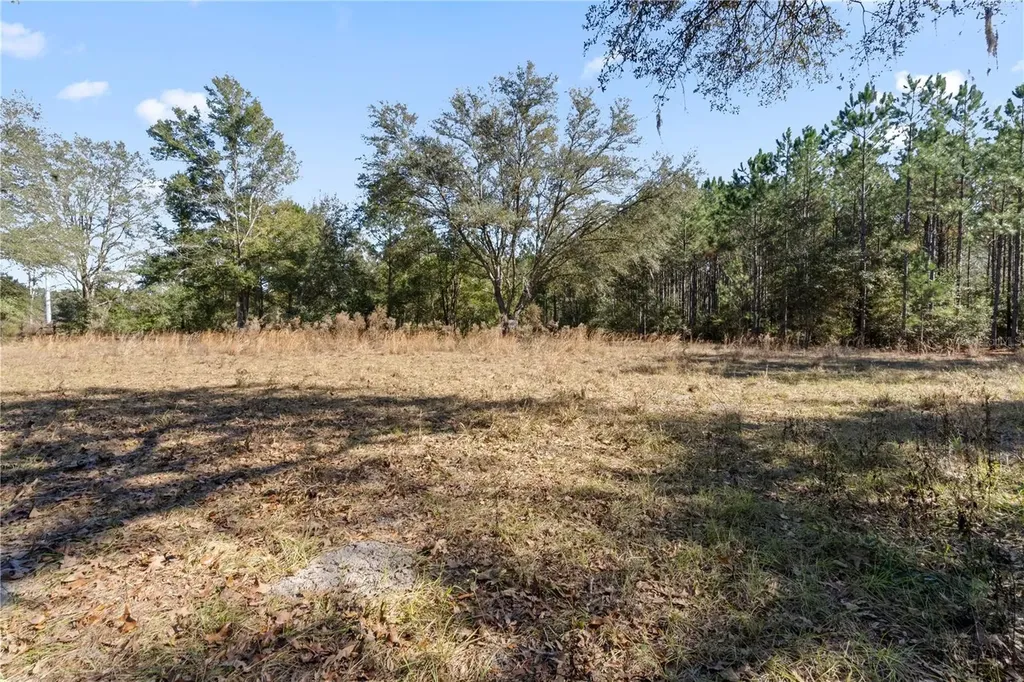 14109 SW 134th Terrace Archer FL 32618