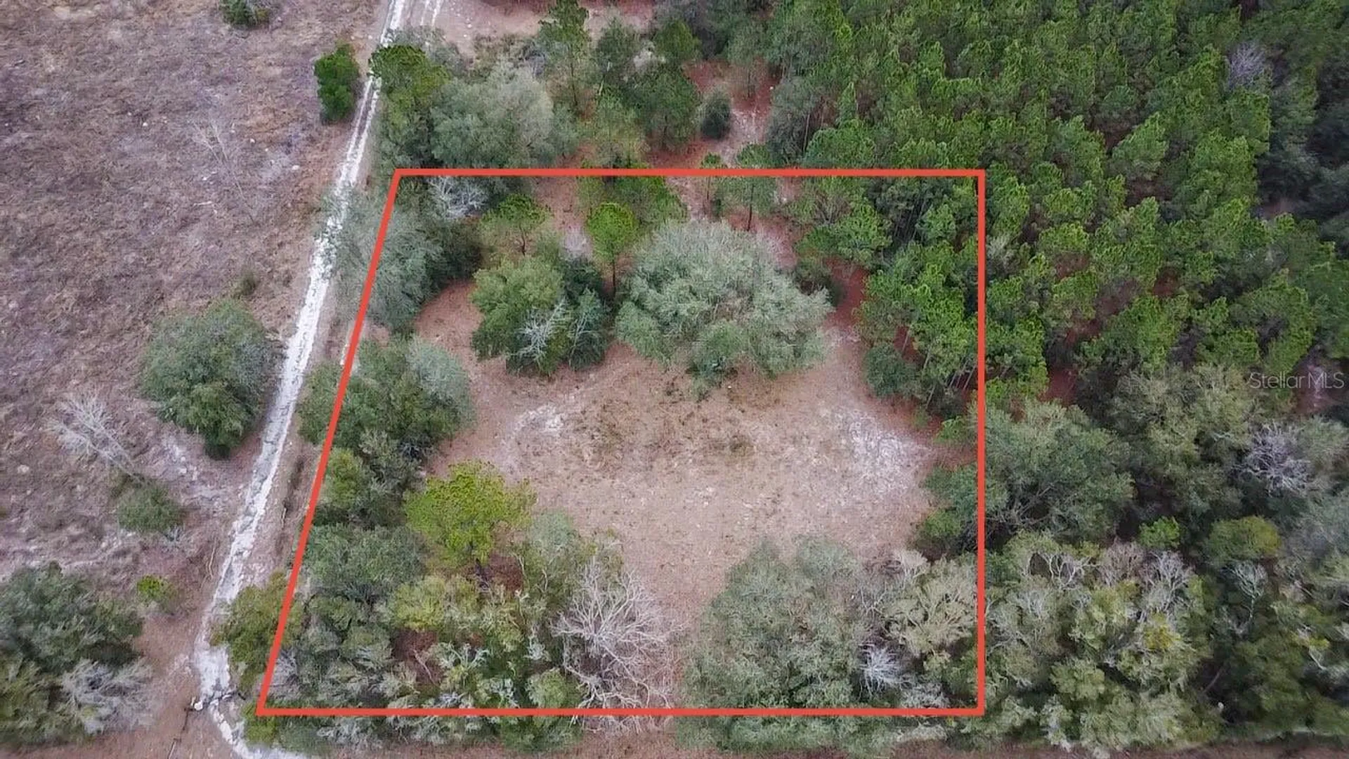 14109 SW 134th Terrace Archer FL 32618