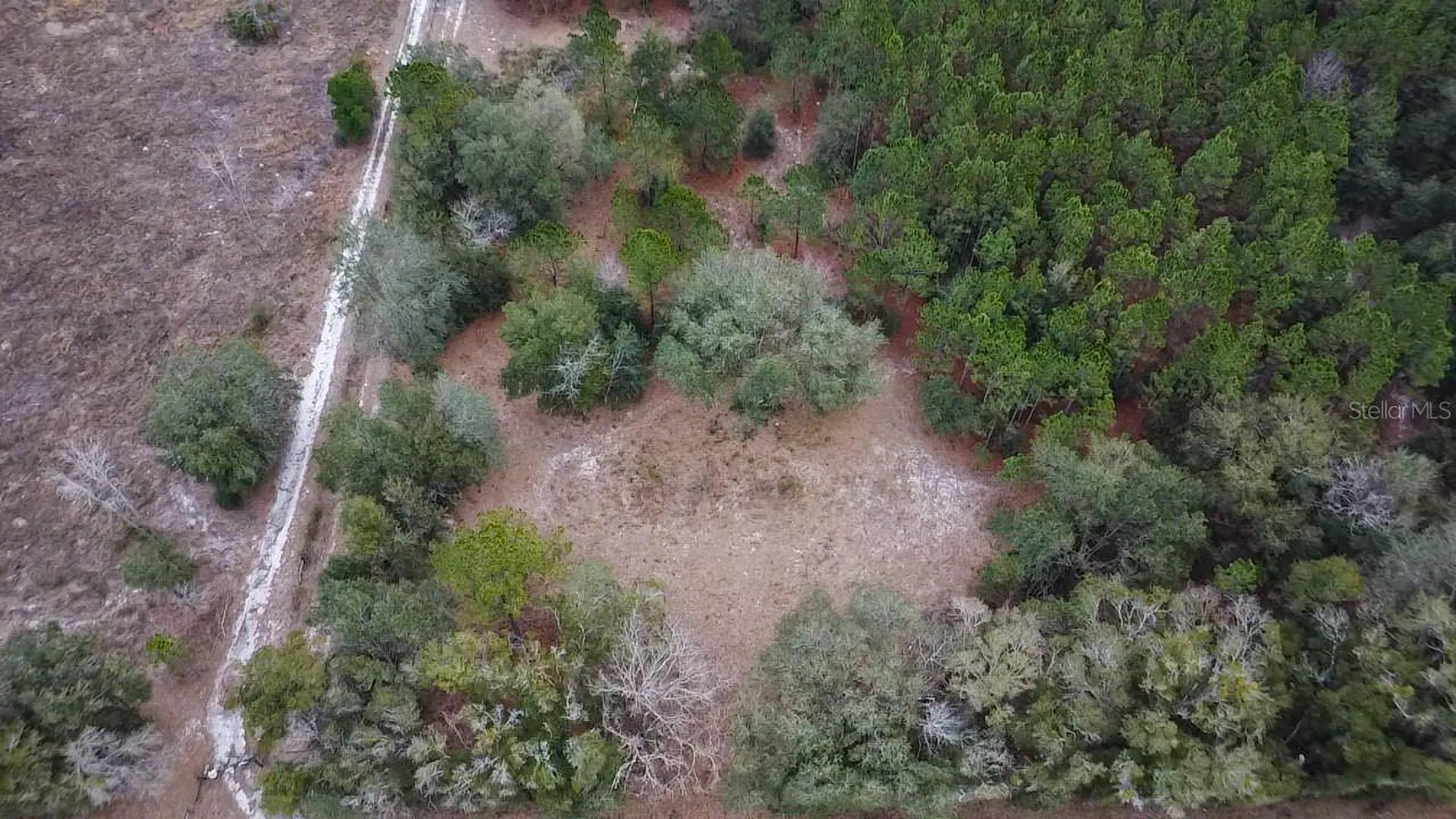 14109 SW 134th Terrace Archer FL 32618