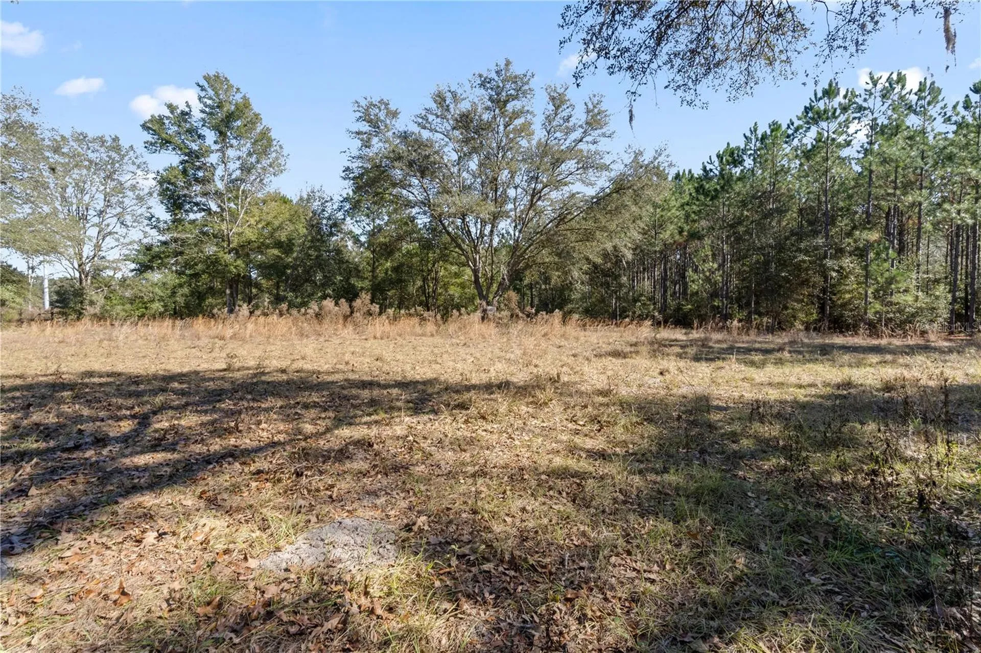 14109 SW 134th Terrace Archer FL 32618