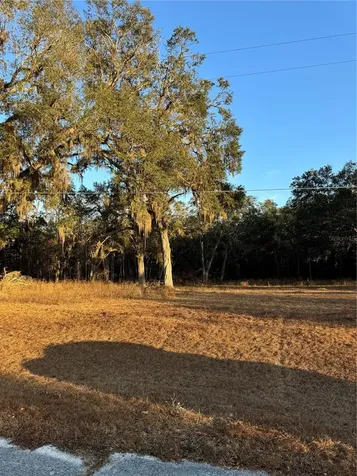 187 SW Mcgriff Lane Lake City FL 32024