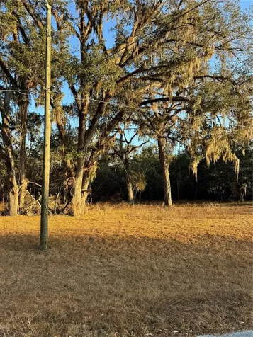 187 SW Mcgriff Lane Lake City FL 32024