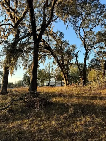 187 SW Mcgriff Lane Lake City FL 32024