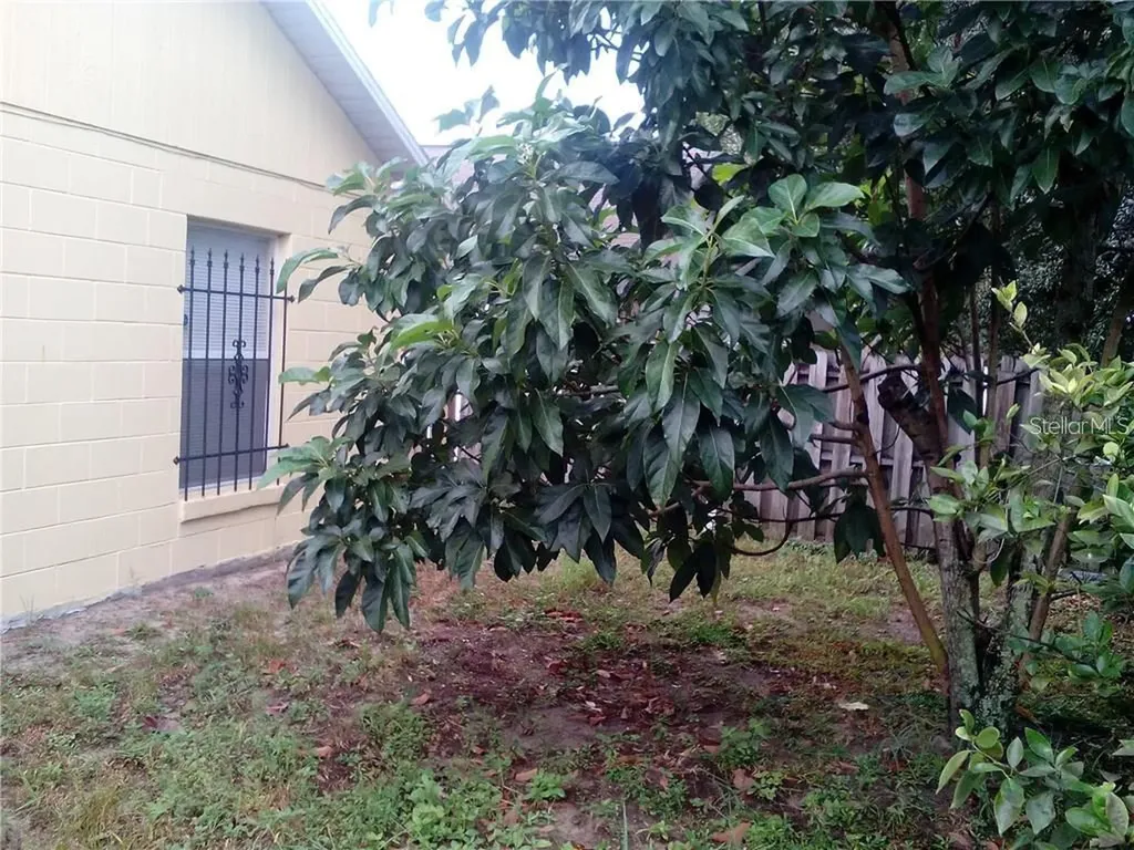 5633 Piney Ridge Drive Orlando FL 32808