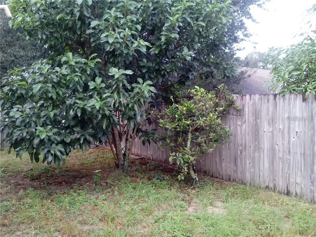 5633 Piney Ridge Drive Orlando FL 32808