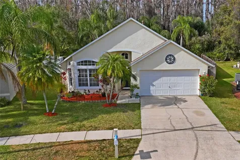 1301 Horsemint Lane Wesley Chapel FL 33543