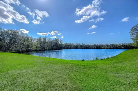 13908 Orange Dale Place Tampa FL 33625