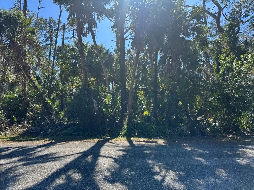 17381 Stanley Avenue Port Charlotte FL 33954