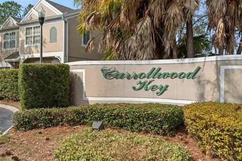11336 Cayman Key Avenue Tampa FL 33624