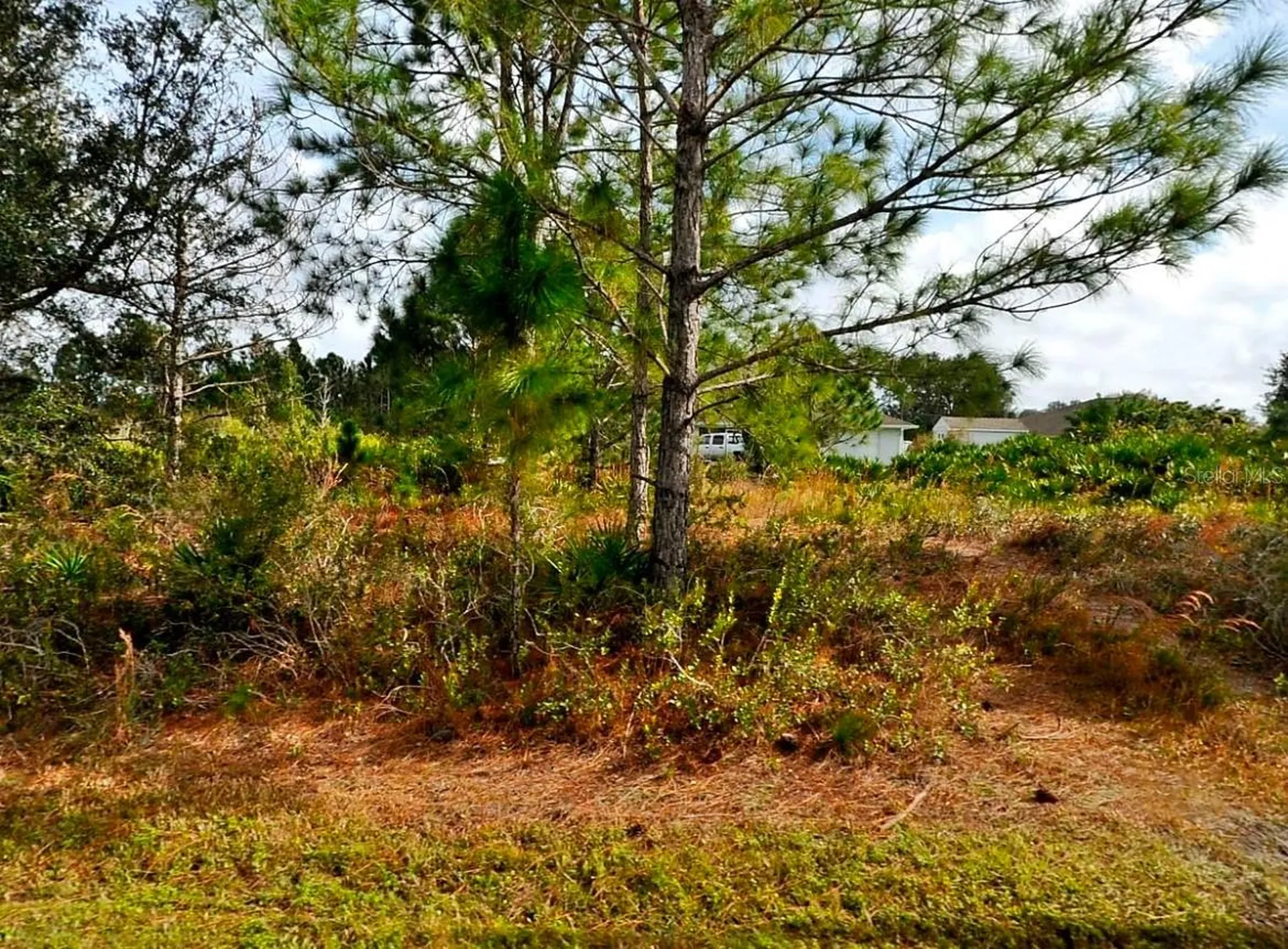 Cordova Terrace North Port FL 34291