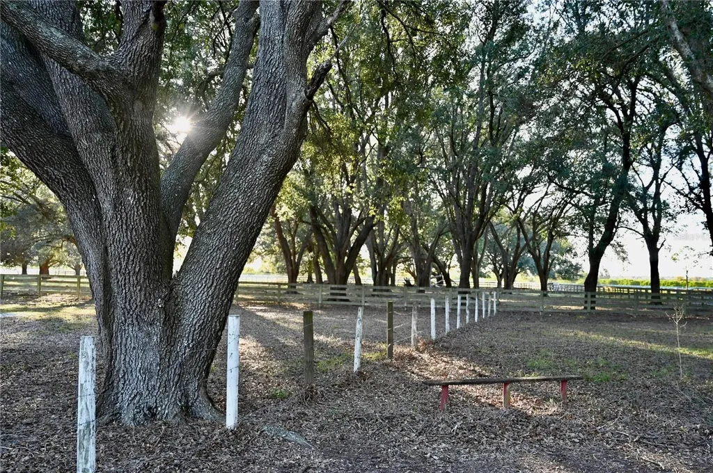 6255 Mercantile Lane Fort Meade FL 33841