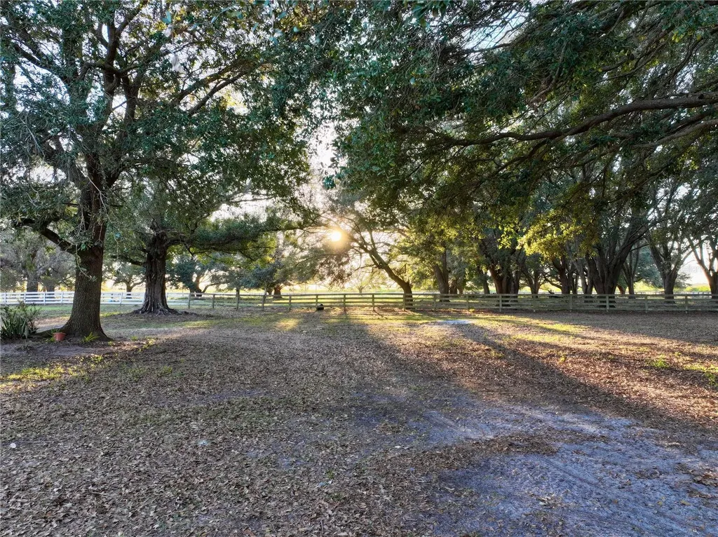 6255 Mercantile Lane Fort Meade FL 33841
