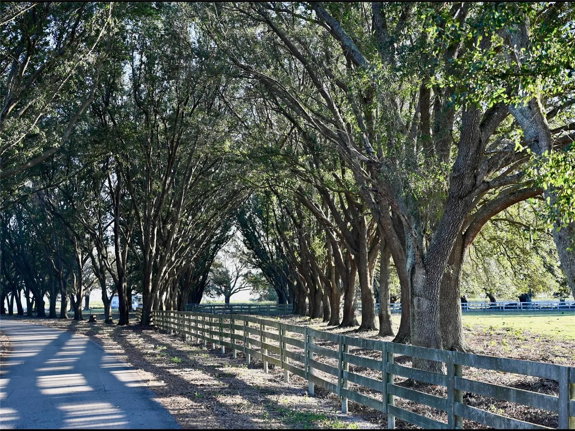 6255 Mercantile Lane Fort Meade FL 33841