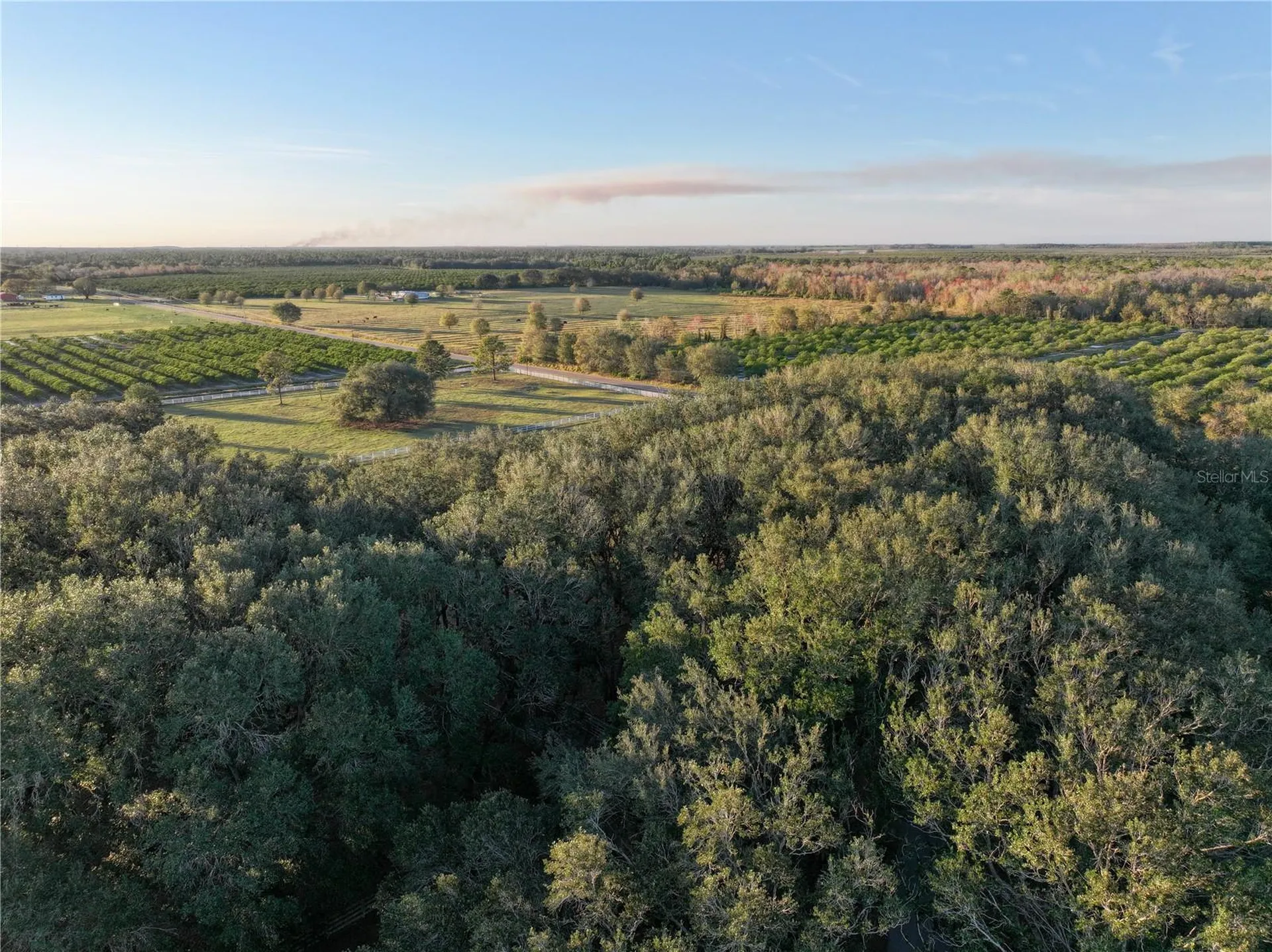 6255 Mercantile Lane Fort Meade FL 33841