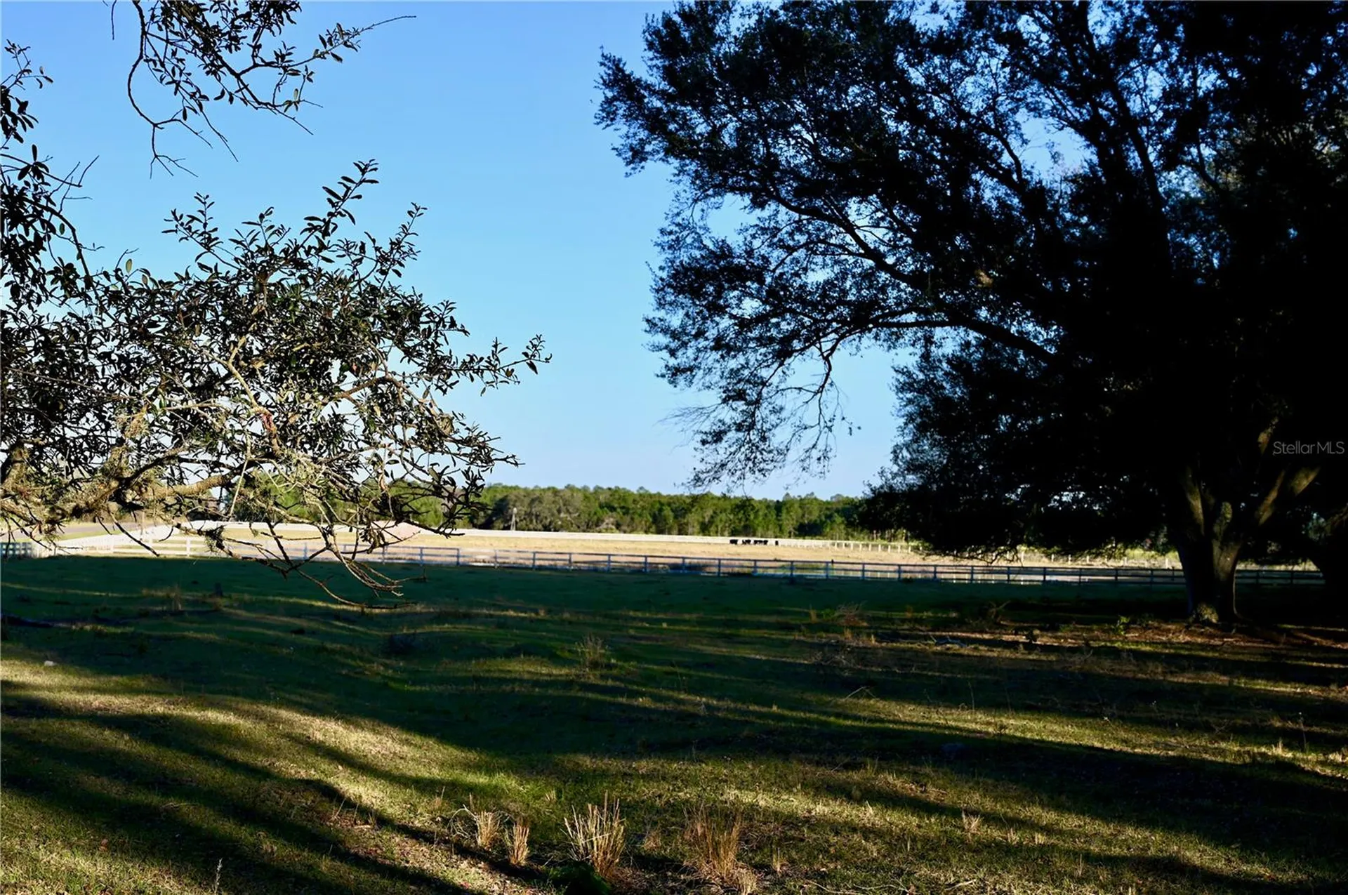 6255 Mercantile Lane Fort Meade FL 33841