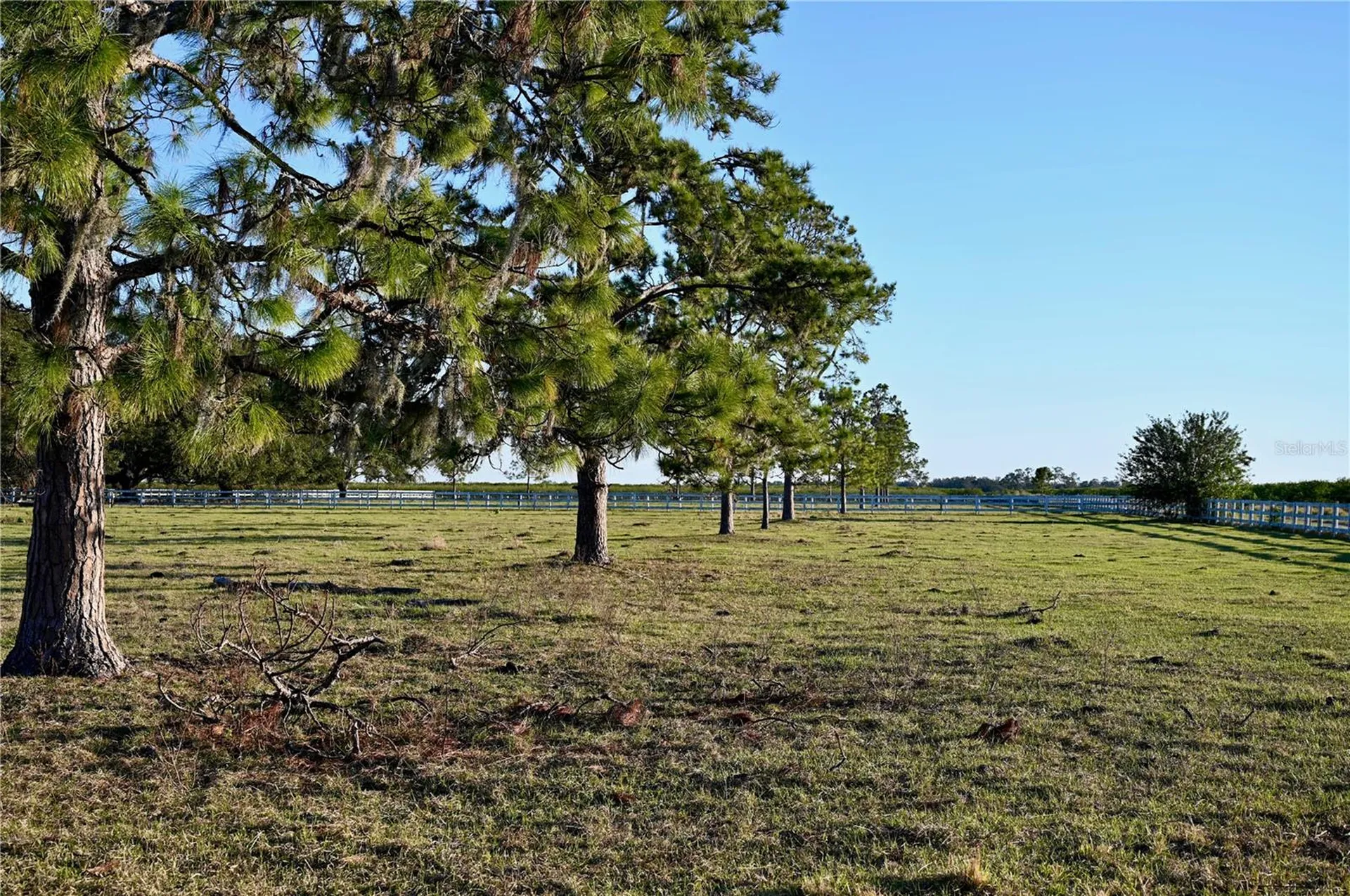 6255 Mercantile Lane Fort Meade FL 33841