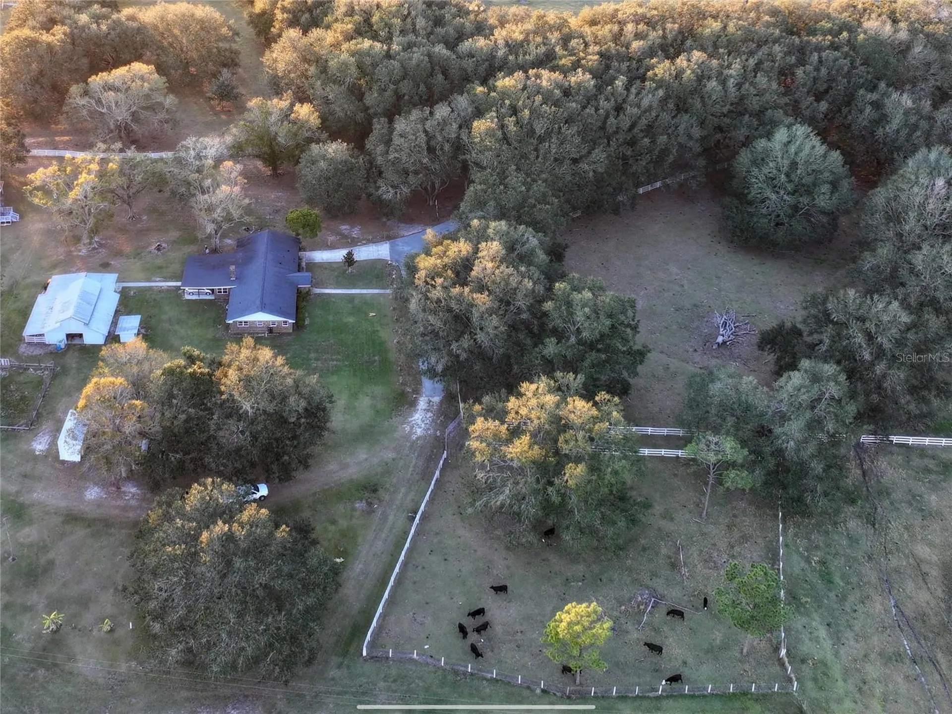6255 Mercantile Lane Fort Meade FL 33841