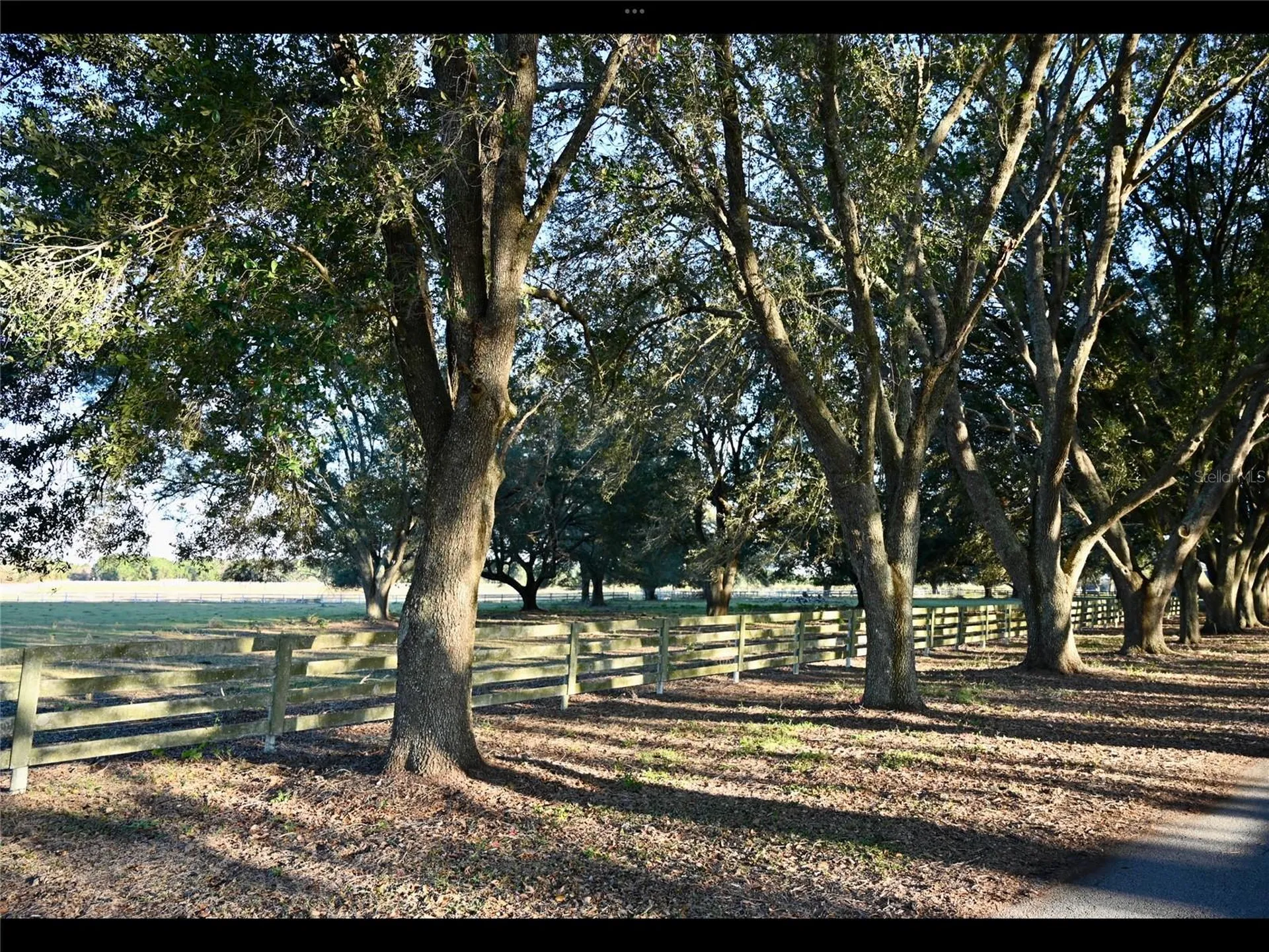 6255 Mercantile Lane Fort Meade FL 33841