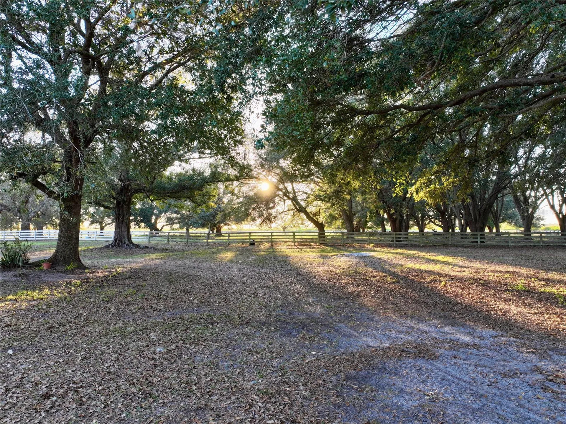 6255 Mercantile Lane Fort Meade FL 33841
