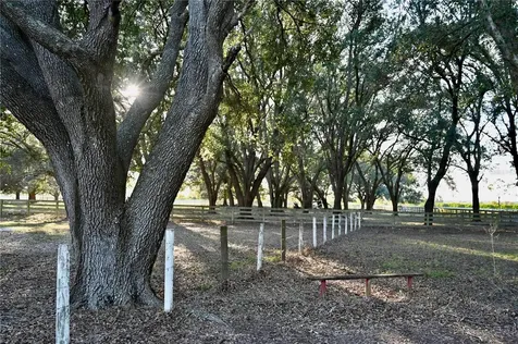 6255 Mercantile Lane Fort Meade FL 33841