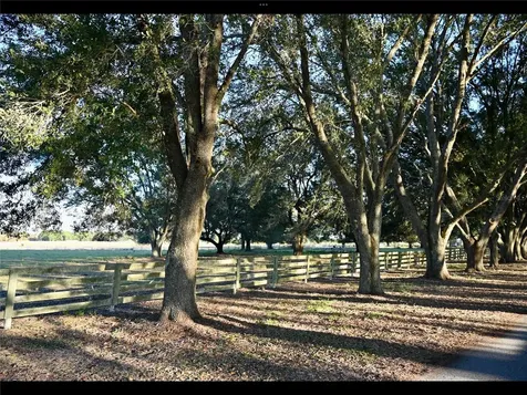 6255 Mercantile Lane Fort Meade FL 33841