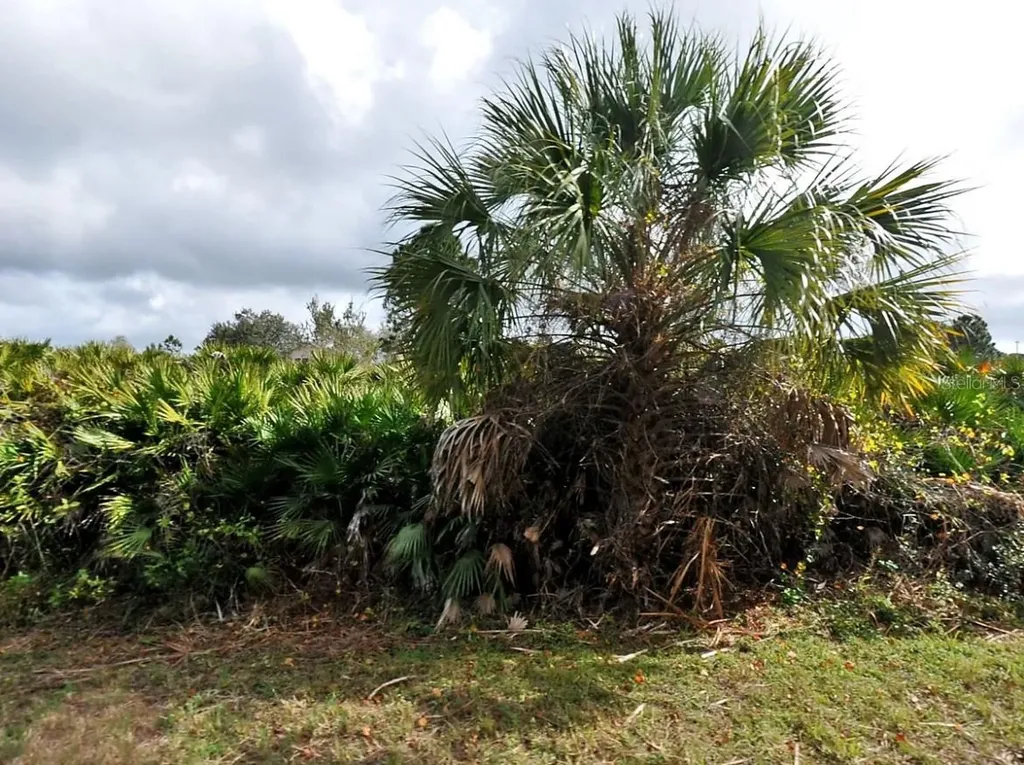 Callaghan Lane North Port FL 34291