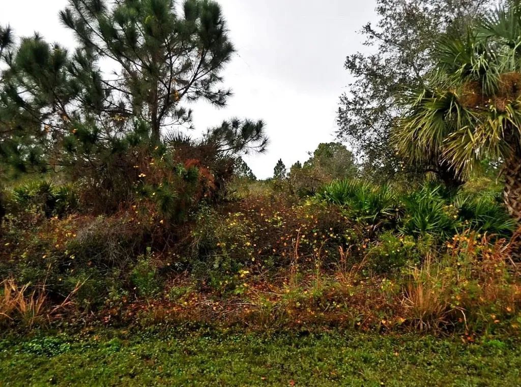 Lenape Lane North Port FL 34291