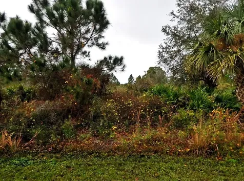 Lenape Lane North Port FL 34291
